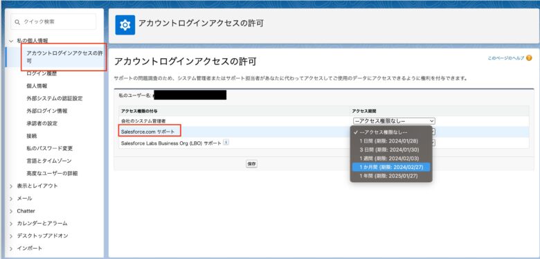 salesforce-support-access-permission